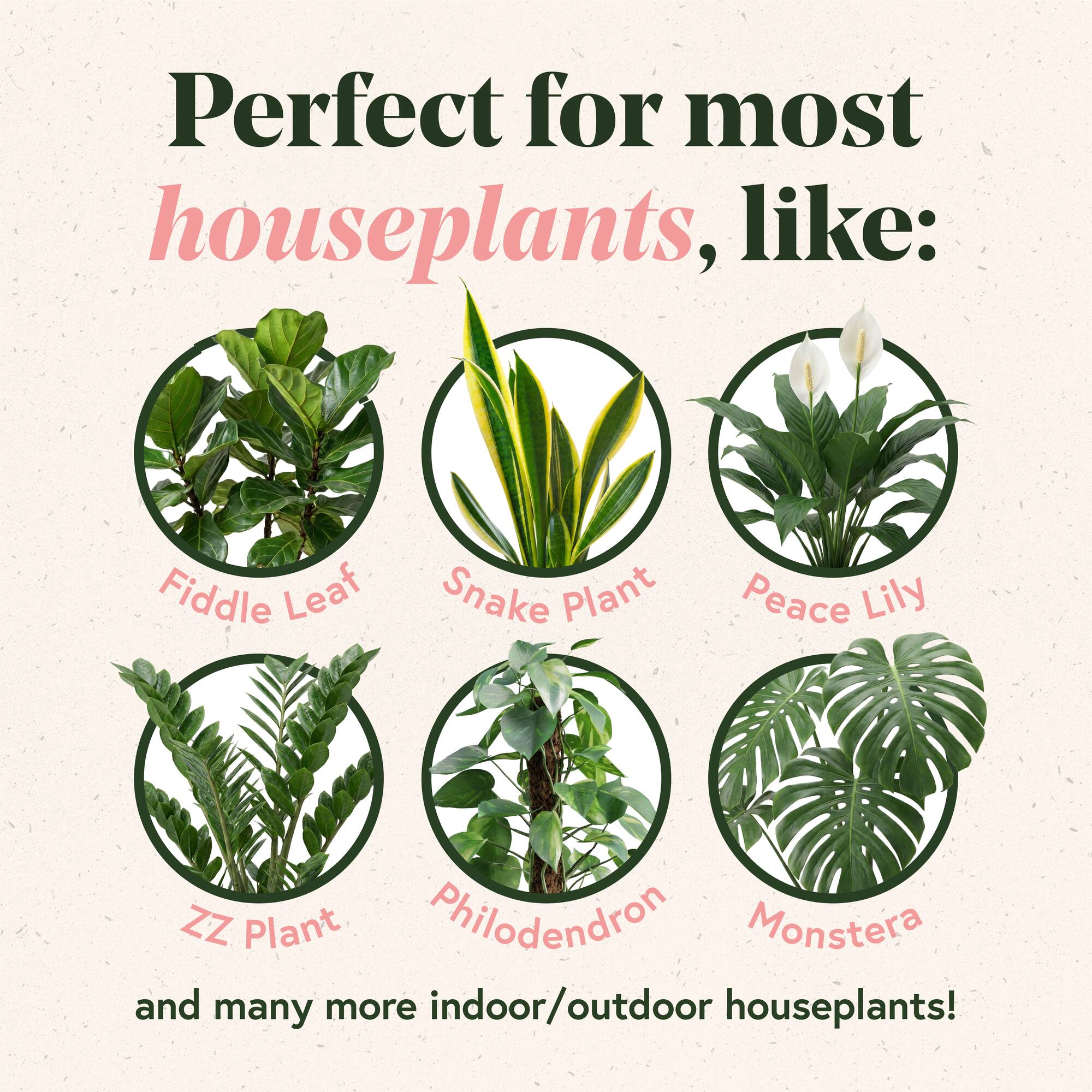 We The Wild™ 8.5oz. Protect Spray Organic Botanical Leaf Shine & Care for Houseplants